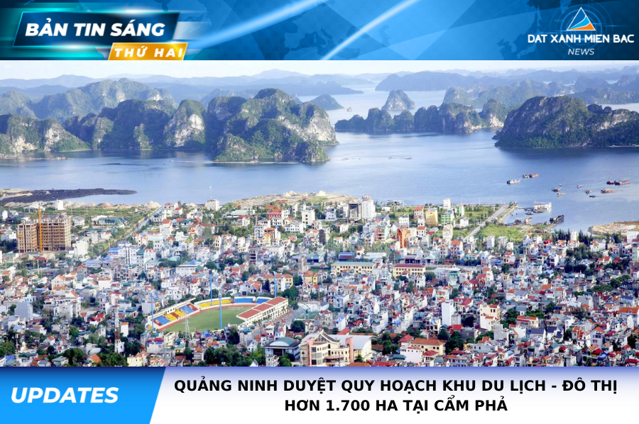 Bản tin thị trường sáng ngày 31/5/2021