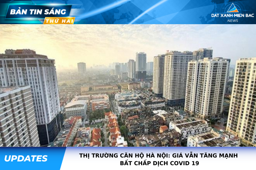 Bản tin thị trường sáng ngày 12/7/2021