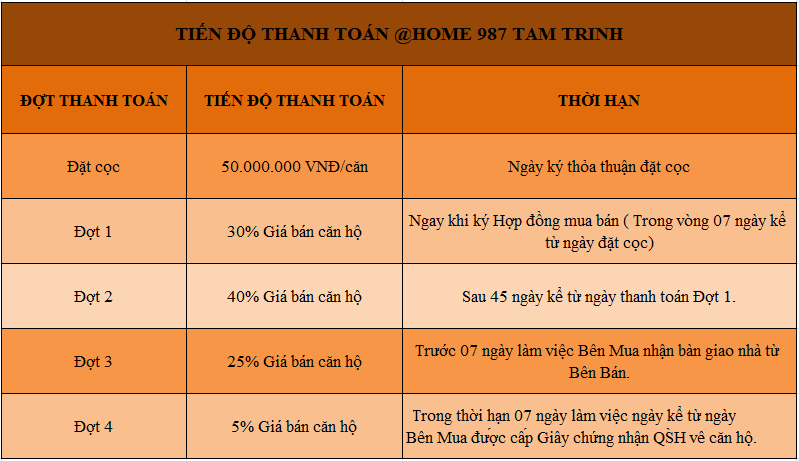 Tiến độ thanh toán dự án @home 977 Tam Trinh