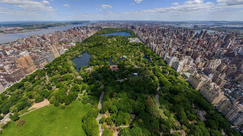 Công viên Central Park như lá phổi xanh của New York. Ảnh: Pinterest.
