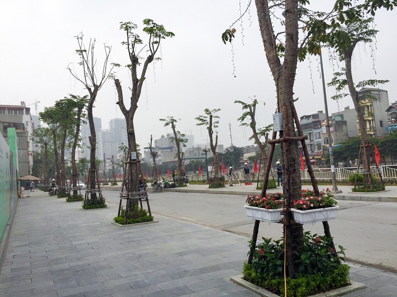 Chung cư Videc Riverside Garden