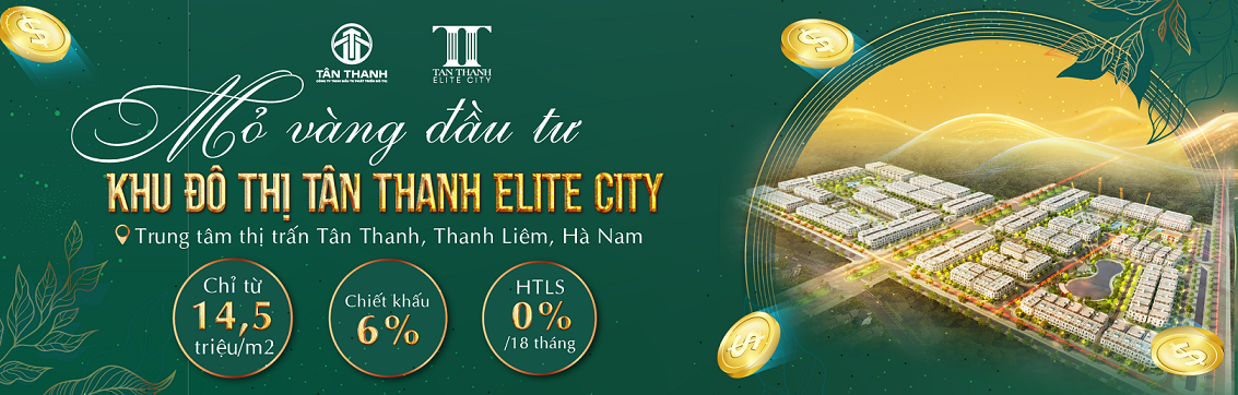  Dự án Tân Thanh Elite City 