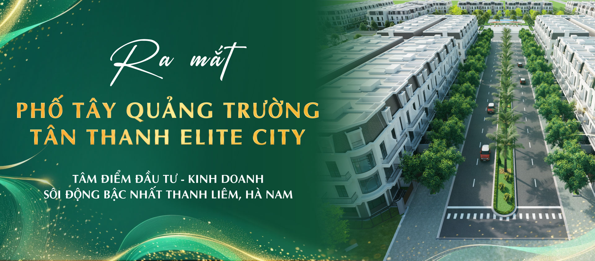  Dự án Tân Thanh Elite City 